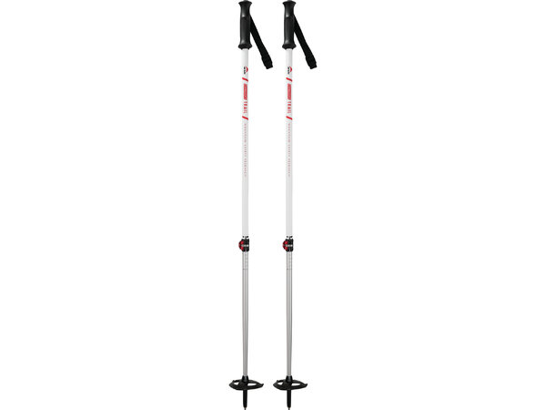 MSR DynaLock Trail Poles, 2-Section 
