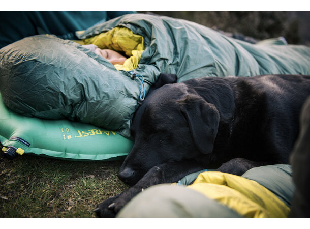 TAR Questar -6C Sovepose Impregnert 650 fyllgrad andedun 