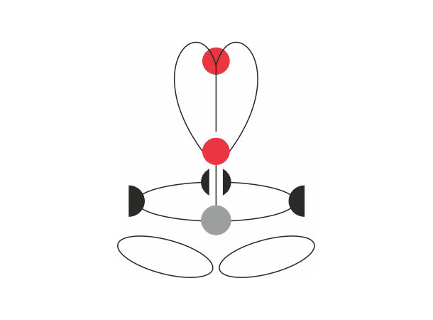 CAMP JANUS PRO Trinse Kulelager 