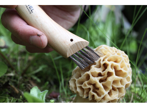Opinel Blister pack Mushroom knife N°08 