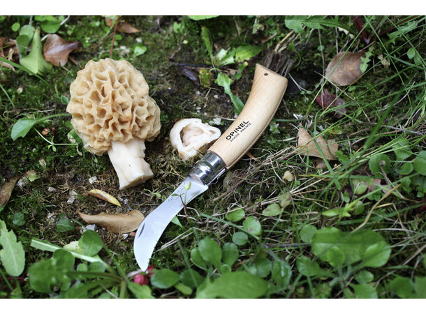 Opinel Blister pack Mushroom knife N°08 