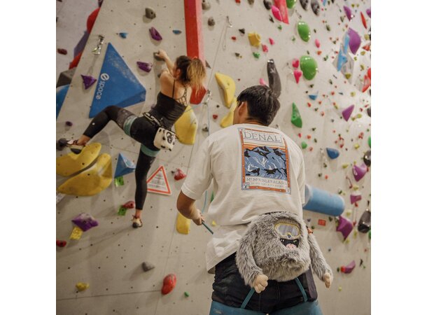 YY Chalk Bag - Yeti Chalk Bag 