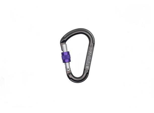 Beal BE LOCK SCREW Karabiner 