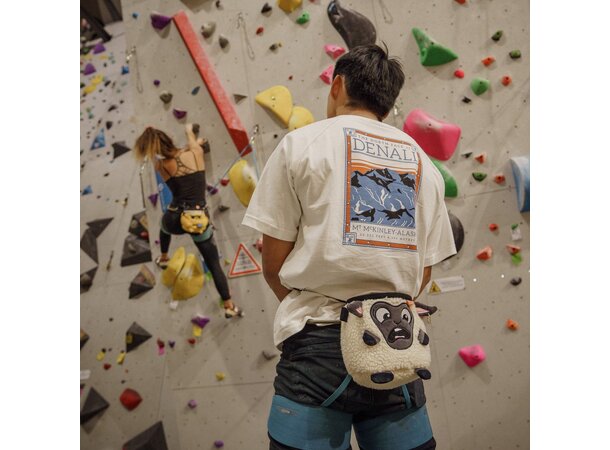 YY Chalk Bag - Sheep Chalk Bag 