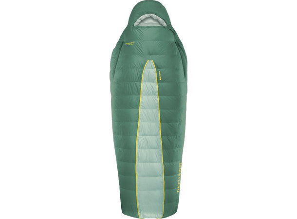 TAR Boost 650 -6C Spruce 