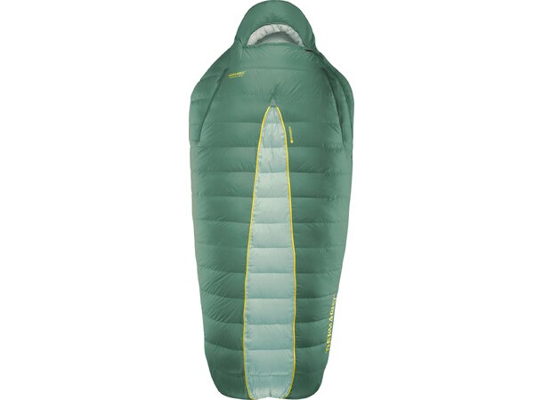 TAR Boost 650 -6C Spruce 