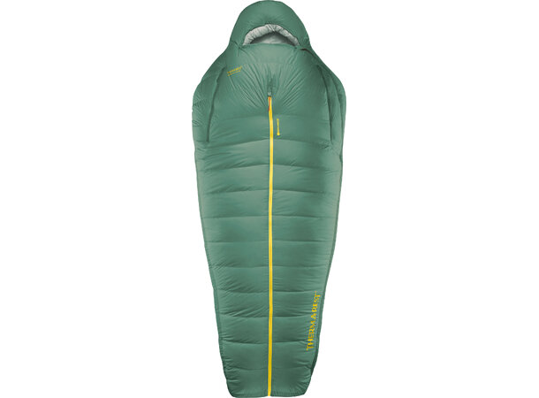 TAR Boost 650 -6C Spruce 