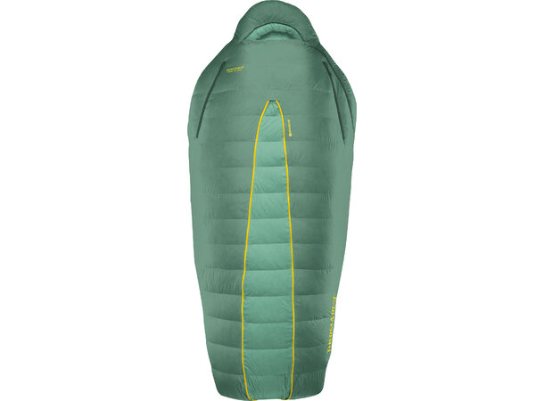 TAR Boost 650 0C Spruce 